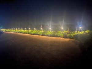 Warm-LED-Light-Image